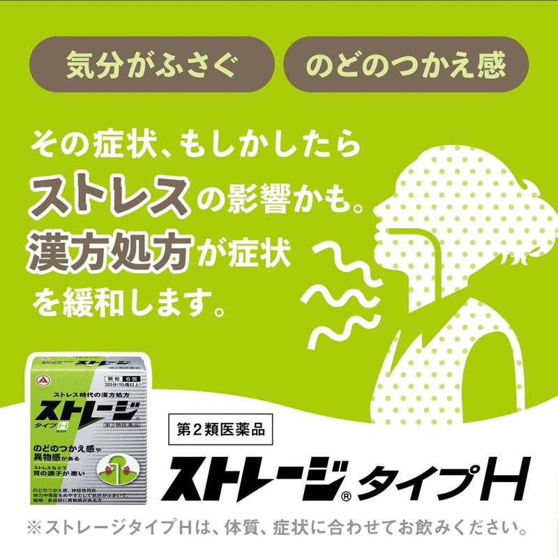 第2類医薬品 ストレージタイプH 6包