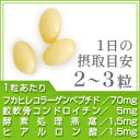 低分子ふかひれコラーゲン＆ツバメの巣入りカプセル 約12ヶ月分 サプリ サプリメント 美容 フカヒレ コラーゲン コンドロイチン ヒアルロン酸 オリーブ ひまわり油 サフラワー油 【seedcoms_D】12D【DEAL3206】【DEAL3203【seedcoms_DEAL3】/D0818 2