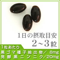 黒ゴマセサミン＆発酵黒ニンニク 約3ヵ月分　【seedcoms_D】3D【メンズ】【DEAL3204】