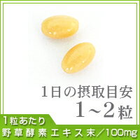 野草酵素 約12ヵ月分【seedcoms_D】 12D　ダイエット 酵素サプリ カプセル 野菜 野草 果物 発酵 熟成 ダイエットサプリ　送料無料 サプリ サプリメント 酵素 野草酵素 野草 プチ断食 や 酵素ドリンク より手軽 健康食品