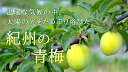 seedcoms:10006659のサンプル画像2