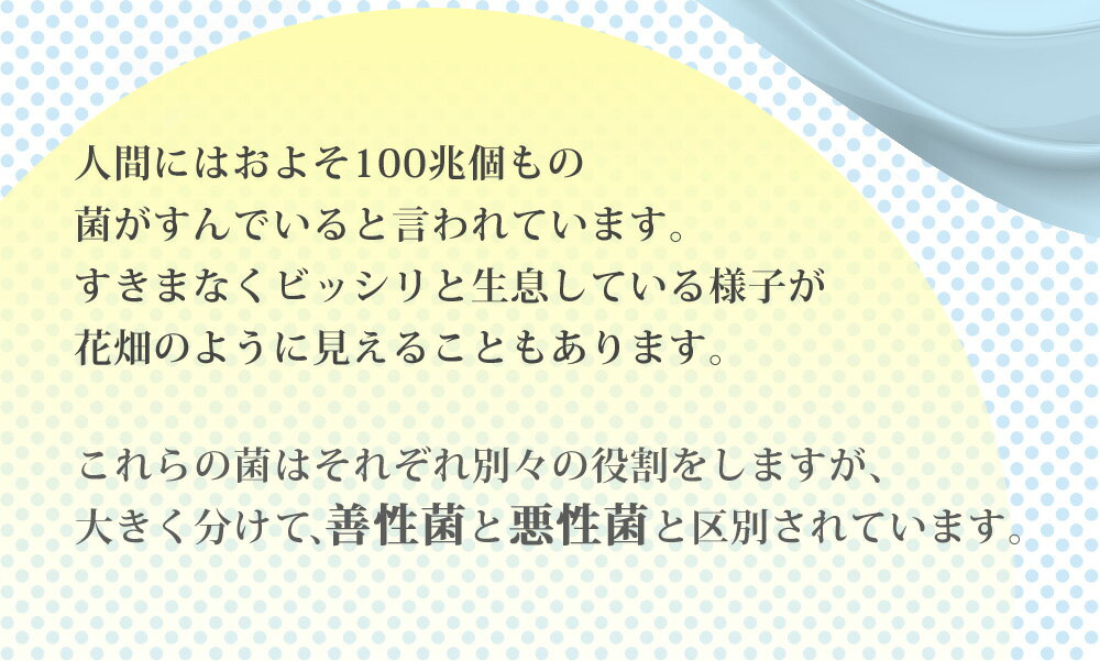 菌のチカラ 約3ヵ月分　サプリメント /乳酸菌/ビフィズス菌/健康維持/納豆菌/酵母菌/紅麹菌/善玉菌/オリゴ糖【seedcoms_D】 3D【DEAL3201】【DEAL3204】