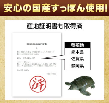 ＼ポイント20倍／国産すっぽん黒酢　約3ヶ月分 送料無料 ダイエット サプリ サプリメント すっぽん 黒酢 アミノ酸 黒酢サプリ ミネラル 大豆ペプチド コラーゲン 有機酸 カルシウム 鉄分 【seedcoms_D】3C【moba599】【DEAL3201】【DEAL3204】