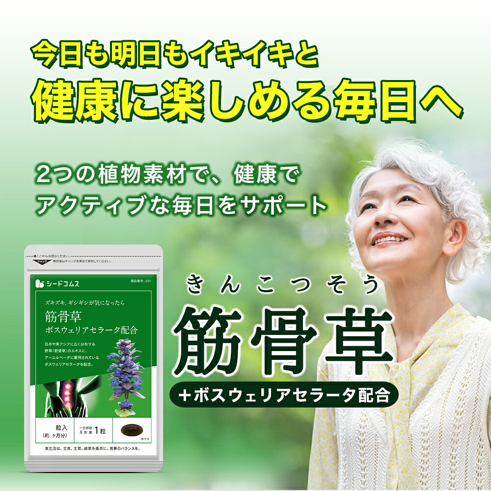 筋骨草＋ボスウェリアセラータ《約1ヶ月分》　送料無料　代引き・日時指定不可　サプリ/筋骨草サプリ【送料無料】サプリメント 健康 ボスウェリアセラータ ボスウェリア酸 seedcoms-10004794 サプリ専門SHOP シードコムス サンプル画像2