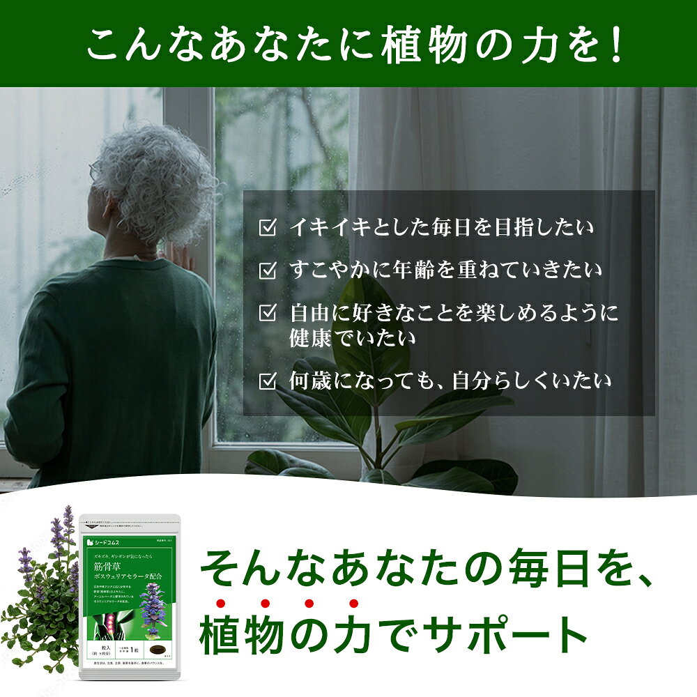 筋骨草＋ボスウェリアセラータ《約1ヶ月分》　送料無料　代引き・日時指定不可　サプリ/筋骨草サプリ【送料無料】サプリメント 健康 ボスウェリアセラータ ボスウェリア酸 seedcoms-10004794 サプリ専門SHOP シードコムス サンプル画像3