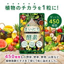 4月16日よりクーポンで298円★【384酵素リニューアル版】まいにち酵素　1ヶ月分 野草 果実 海藻 キノコ 豆類を使用約1ヶ月分 送料無料 酵素サプリ【seedcoms_DEAL2】/D0818【SDW4】【新商品2021】 3