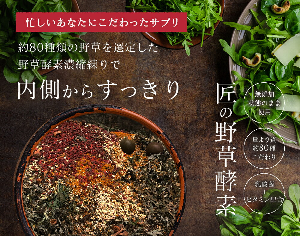 匠の野草酵素(約1ヶ月分)ダイエット サプリ送料無料 サプリ サプリメント 酵素 野草酵素 健康食品 野菜不足 乳酸菌 ビタミンC 葉酸 ビタミンB うこん 田七人参 イチョウ はと麦 高麗人参 マカ 2