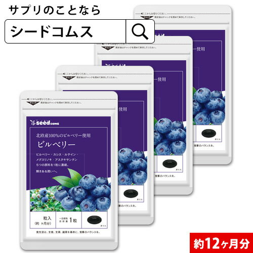 目のサプリ ブルーベリー サプリ コエンザイムQ10 サプリメント ブルーベリーQ10 1ヵ月分 30粒 さぷり 栄養補助食品 健康食品 視力 目の疲れ 目 瞳 ぼやけ コエンザイムq10 ビルベリー ルテイン アントシアニン