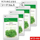 送料無料！ フラボンベリーα 50.4g(420mg×120粒) 約1ヶ月分 ビルベリー・イチョウ葉エキス・DHA・EPA・アスタキサンチン・ルテイン・配合