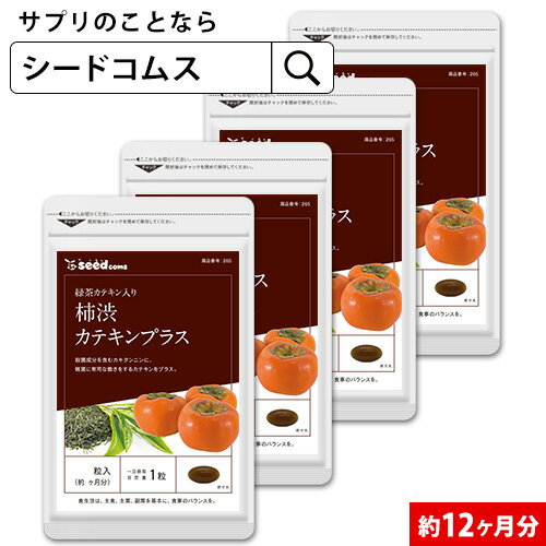 カテキン入り柿渋カプセル 約12ヶ月分 【seedcoms_D】12D【DEAL3206】【DEAL3204 送料無料 サプリ サプリメント ダイエット 健康 柿 カテキン カキタンニン 殺菌 柿渋 エチケット ポリフェノー…