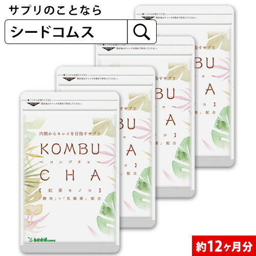 コンブチャ 約12ヶ月分 サプリ サプリメント ダイエット 美容 健康 酵素 乳酸菌 紅茶キノコ 酵母 ビタミンD 葉酸 ビ…