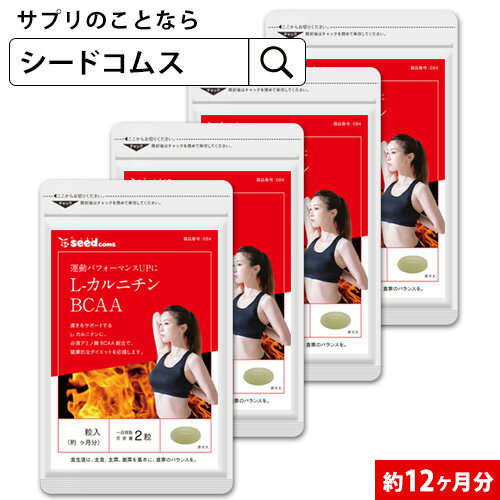 L-カルニチン　BCAA 約12ヶ月分 サプリ サプリメント ダイエット カルニチン アミノ酸 燃焼系 減量 シ..