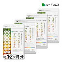 マルチビタミン&マルチミネラル 約12ヶ月分 送料無料 サプリ サプリメント 健康 美容 ビタミンA ビタミンB ビタミンC ビタミンD ビタミンE 葉酸 ナイ...