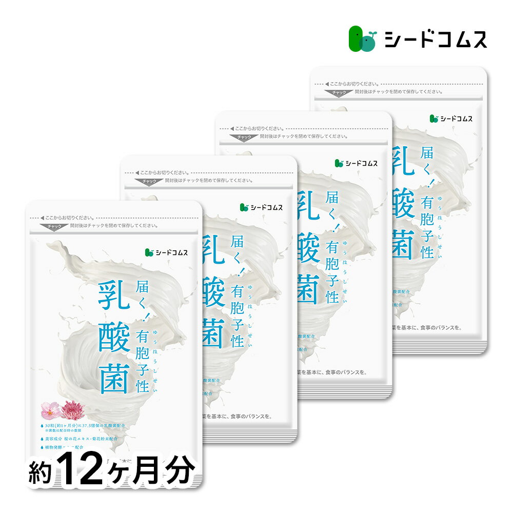 【メール便で送料無料】有胞子性　乳酸菌ソフトカプセル約12ヶ月分ネコポス送料無料代引/日時指定不可サ ...