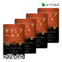サラシアヘルス+【 約12ヶ月分】 新発売 サプリ サプリメント ダイエット ダイエットサプリ