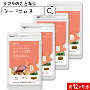 ビタミンB カプセル（約3ヶ月分）送料無料 ビタミンB 葉酸 ビタミンM イノシトール 配合 ビタミン サプリ サプリメント キレイ と 健康 のベースアップに！ 美容トラブル に 健康 ダイエット_JB_JH