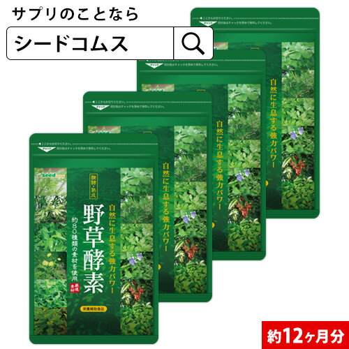 野草酵素 約12ヶ月分【seedcoms_D】 12D ダイエット 酵素サプリ カプセル 野菜 野草 果物 発酵 熟成 ダイエットサプリ 送料無料 サプリ サプリメント 酵素 野草酵素 野草 プチ断食 や 酵素ドリ…