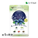 ブルーベリー 約1ヶ月分　サプリ サプリメント ブルーベリー