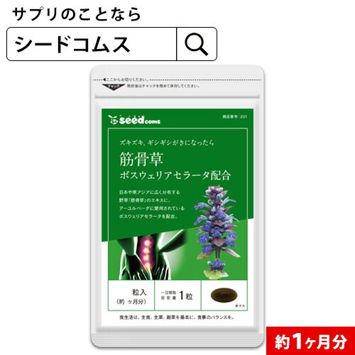 筋骨草＋ボスウェリアセラータ《約1ヶ月分》■送料無料■代引き・日時指定不可【RCP】サプリ/筋骨草サプリ【送料無料】サプリメント 健康 ボスウェリアセラータ ボスウェリア酸 【seedcoms_DEAL2】/D0818