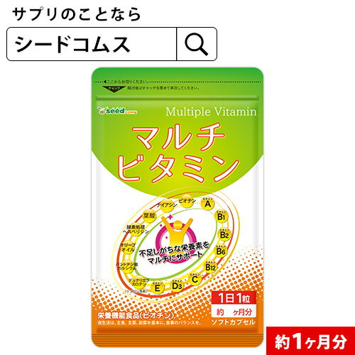 【抽選で最大100%ポイントバック】 マルチビタミン 約1ヶ月分 ネコポス送料無料 代引き・日時指定不可 サプリ/ビタミンサプリ/ミネラル ビタミン 葉酸 ナイアシン ビオチン パントテン酸 ヘス…