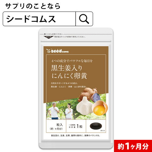 【約1ヶ月分】黒生姜入りにんにく卵黄+山人参カプセル《約1ヶ月分》【お試し/送料無料】【RCP】サプリ/にんにくサプ…