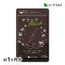 サラシアブラック 約1ヶ月分 新発売