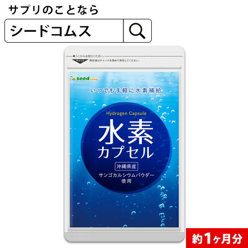 水素カプセル《約1ヶ月分》すみずみまで行き渡る水素のチカラでハリのある日々へと導く 水素/水素サプリ/水素 サプリ お試し【TB1】【diet_D1805】【deal1105】【seedcoms_DEAL2】/D0818