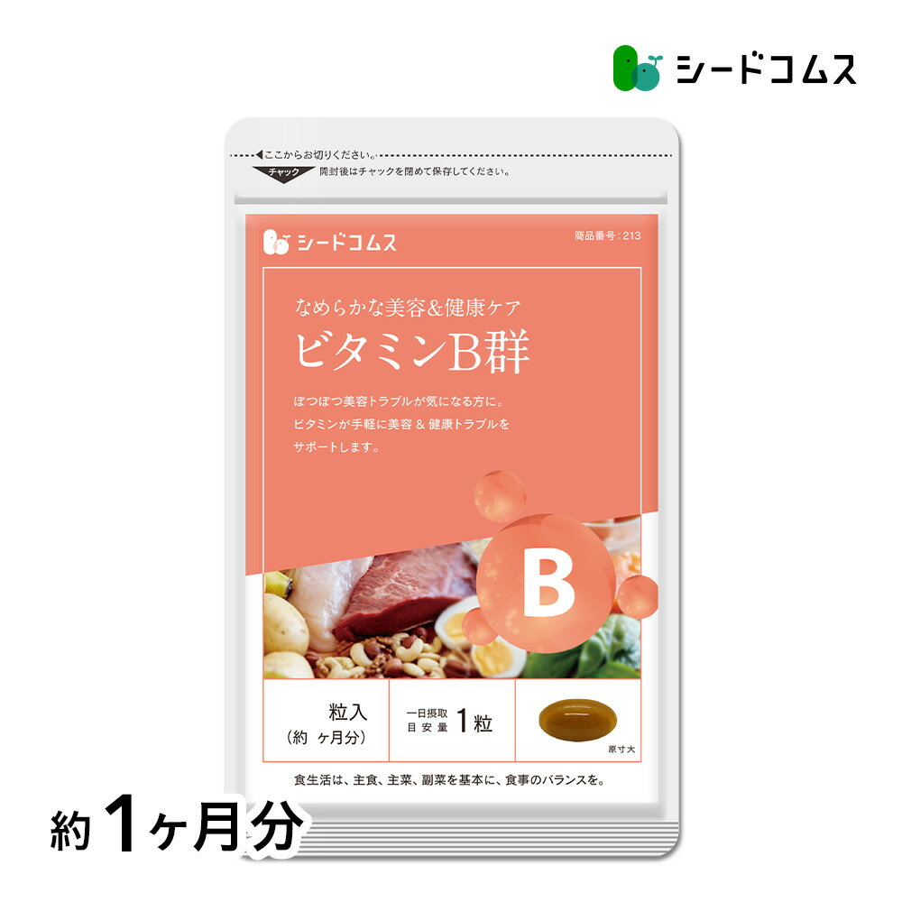 ビタミンB群《約1ヶ月分》■ネコポス送料無料■代引・日時指定不可チアミン硝酸塩/リボフラビン/ナイア ...