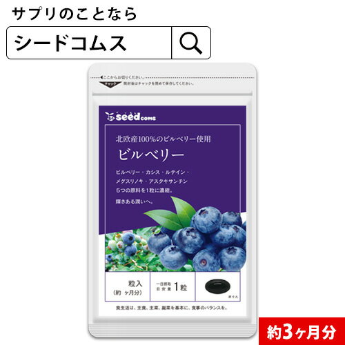 【小林製薬】ブルーベリー ルテイン メグスリノ木 60粒(30日分) 【ルテイン】【メグスリノキ】【栄養補助食品】