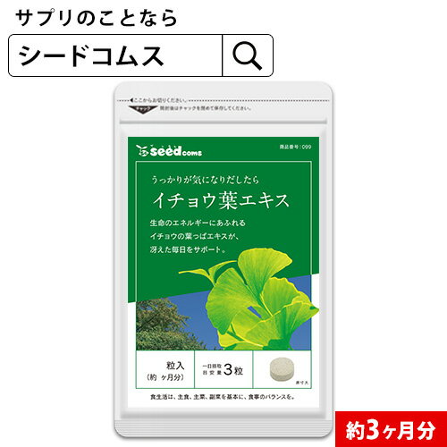 イチョウ葉エキス〓（約3ヵ月分）送料無料 サプリ サプリメント 健康 フラボノイド ケルセチン ケンフェロール イソラムネチン ルチン テルペン ギンコライド ビロバライド 【DEAL3204】