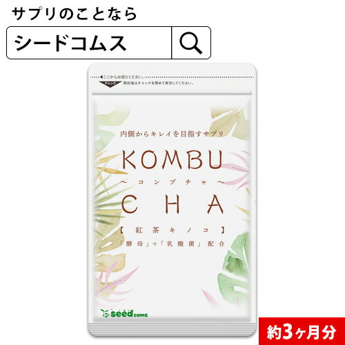 コンブチャ 約3ヶ月分 ダイエット サプリ サプリメント 美容 健康 酵素 乳酸菌 紅茶キノコ 酵母 ビタミ..