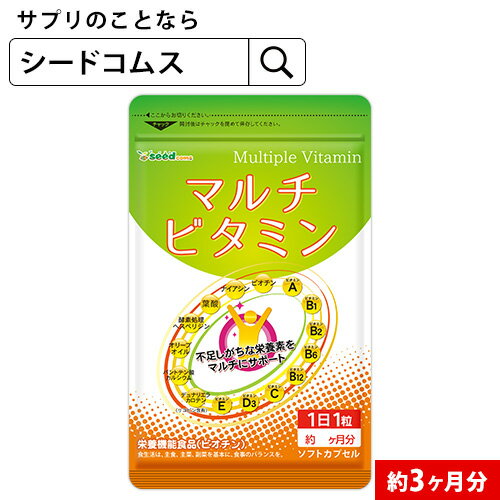 マルチビタミン《約3ヶ月分》ネコポス送料無料　サプリ/サプリメント/ビオチン/ビタミンサプリ/ ミネラル 葉酸 ナイアシン ビオチン パントテン酸 レシチン 3C/D0818