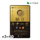 ★紅麹入りナットウキナーゼ DHA&EPA 約3ヶ月分 サプリ サプリメント 健康 ダイエット ナットウ 酵素 麹 サプリ ナットウキナーゼ DHA EPA 納豆キナーゼ 【seedcoms_D】3D【DEAL3204】【seedcoms_DEAL4】/D0818