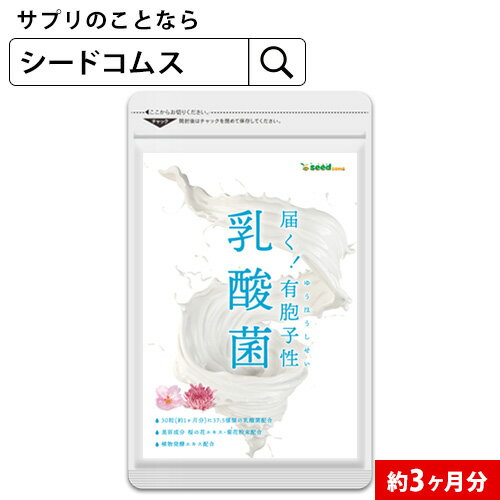 6月5日限定 抽選で100％ポイントバック★乳酸菌《3ヶ月分》 乳酸菌ソフトカプセル★《約3ヶ月分》サプリ/乳酸菌サプリ 酵素配合 サプリメント 有胞子乳酸菌 ラクリス菌 美容 健康 【seedcoms_D】…