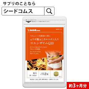 コエンザイムQ10 α-リポ酸 L-カルニチン 葉酸 約3ヶ月分 サプリ サプリメント ダイエット 美容 サポート l カルニチン コエンザイム q10 リポ酸 燃焼 ダイエットサプリ 【seedcoms_D】3D【s20】【DEAL3202】【seedcoms_DEAL3】【seedcoms_DEAL4】/D0818