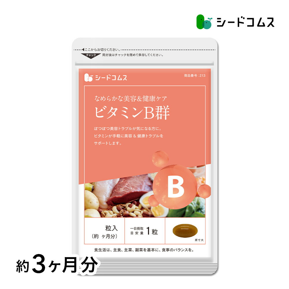 ビタミンB群 約3ヶ月分 送料無料 サプリ サプリメント 美容 健康 ビタミン ビタミンC ビタミンB ビタミンA ビタミンE 　【seedcoms_D】3D【s20】【search】【seedcoms_DEAL3】/D0818のサムネイル