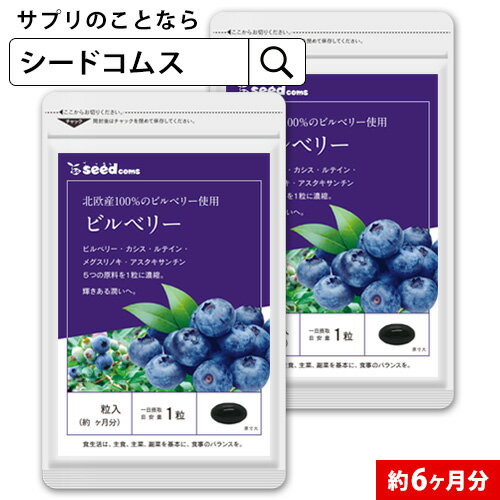 【小林製薬】ブルーベリー ルテイン メグスリノ木 60粒(30日分) 【ルテイン】【メグスリノキ】【栄養補助食品】