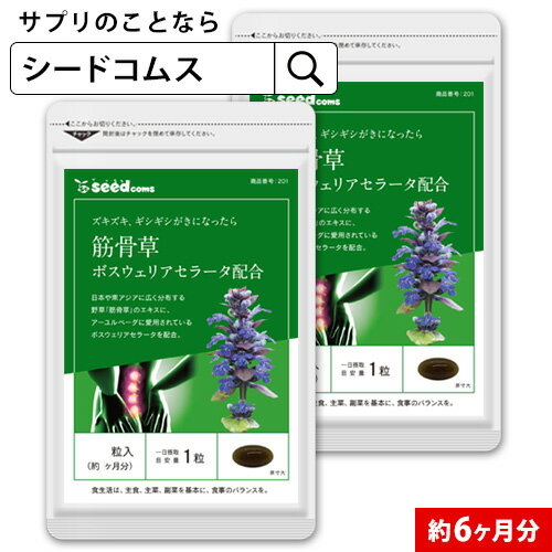 筋骨草＋ボスウェリアセラータ 約6ヶ月分 送料無料 サプリ サプリメント 健康 ボスウェリアセラータ ...