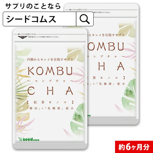 コンブチャ 約6ヶ月分 サプリ サプリメント 美容 健康 酵素 ダイエット 乳酸菌 紅茶キノコ 酵母 ビタミンD 葉酸 ビタ…