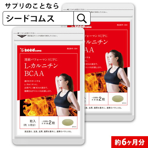 L-カルニチン　BCAA 約6ヶ月分 サプリ サプリメント ダイエット カルニチン アミノ酸 燃焼系 減量 シトルリンロイシン バリン イソロイシン ヒスチジン bcaa 6D/D0818