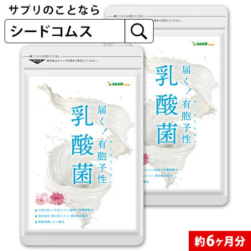 有胞子性乳酸菌ソフトカプセル《約6ヶ月分》■ネコポス送料無料