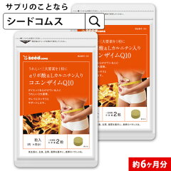 https://thumbnail.image.rakuten.co.jp/@0_mall/seedcoms/cabinet/images/thum/6m/q10k_6m.jpg