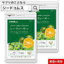 【メール便で送料無料】〓★ビタミンC シークワーサー★〓《約...