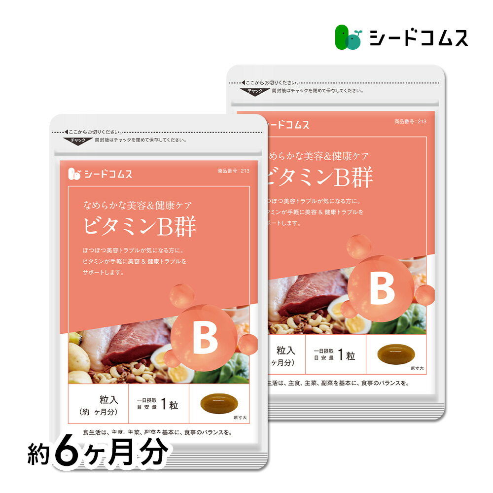 ビタミンB群 約6ヶ月分 送料無料 サプリ サプリメント 美容 健康 ビタミン ビタミンC ビタミン ...