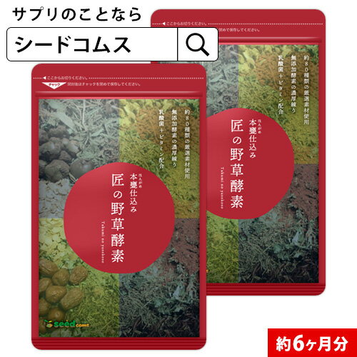 匠の野草酵素(約6ヶ月分) 送料無料 サプリ サプリメント 酵素 野草酵素 健康 スーパーフード 健康食品 乳酸菌 ダイエット 美容 ビタミンC 葉酸 高麗人参 しょうが トンカットアリ ニン二ク マカ うこん クコ イチョウ【search】/D0818