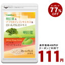 酵素 サプリ ダイエット 島本微生物工業 バイエムコーソ 300g