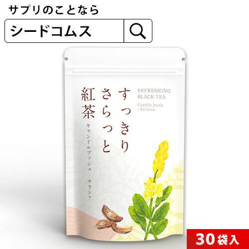 ＼新発売／ダイエット 紅茶 すっきりさらっと紅茶 90g（3g×30袋）トイレ習慣 キャンドルブッシュ サラシア ハブ茶 ハトムギ 甜茶 菊芋 ダイエット食品【seedcoms_DEAL4】/D0818