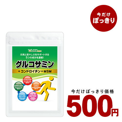 【500円ポッキリ★24日迄】【お試しサプリ★約1ヵ月分】含有量34％増量してパワーアップしました！〓★2型コラーゲン配合グルコサミン＆コンドロイチン＆MSM★〓《約1ヵ月分》サプリ/グルコサミン/コンドロイチン/MSM/グルコ/送料無料【TB1-C1】