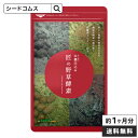 【エントリーで最大20倍!】 匠の野草酵素(約1ヶ月分)ダイ