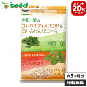 【DEAL20%ポイント 還元祭開始】明日葉&コレウスフォルスコリ&白いんげん豆エキス≪約3ヵ月分≫...